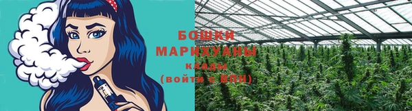 сатива Майский