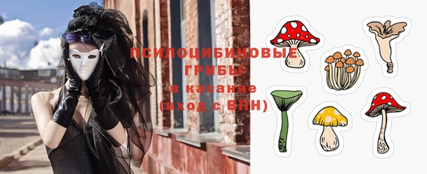 ешки Абинск